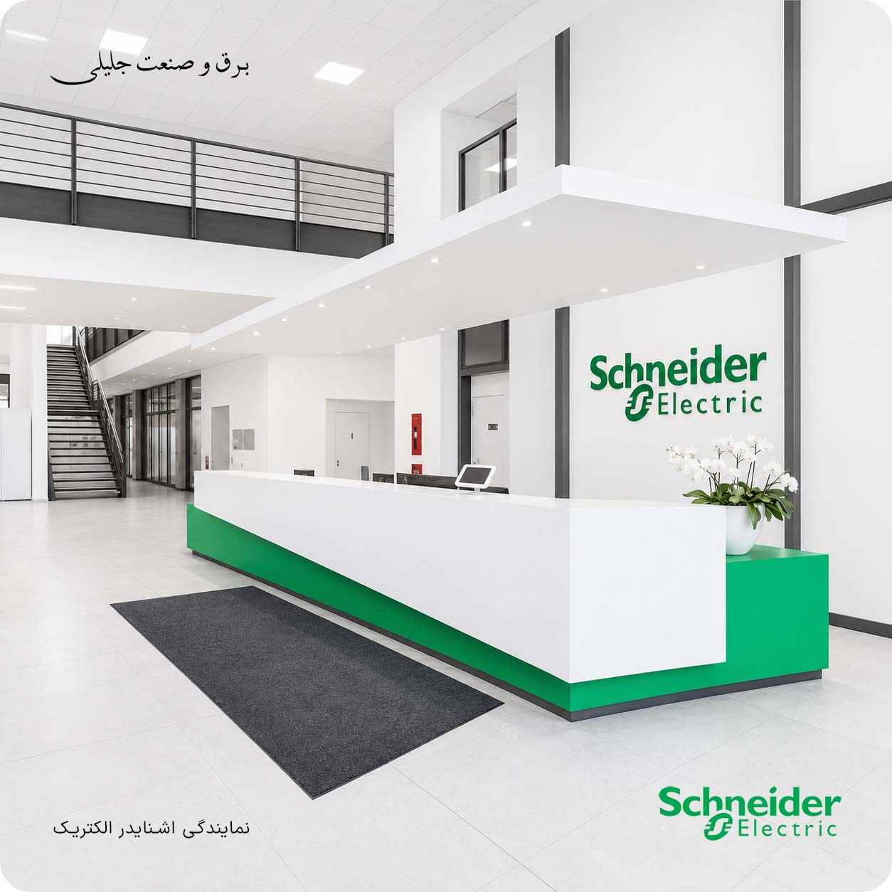 نمایندگی اشنایدر لاله زار