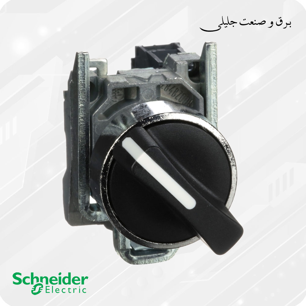 سلکتور سوییچ فلزی دو حالته اشنایدر SCHNEIDER