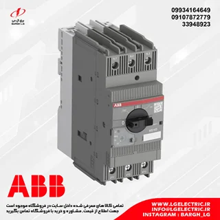 کلید حرارتی 42 آمپر ABB MS165-42