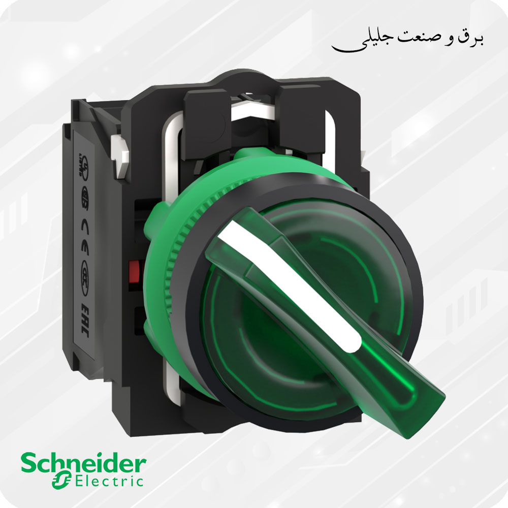 سلکتور سوییچ چراغدار دو حالته اشنایدر SCHNEIDER