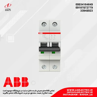 کلید مینیاتوری دو پل ABB مدل S202