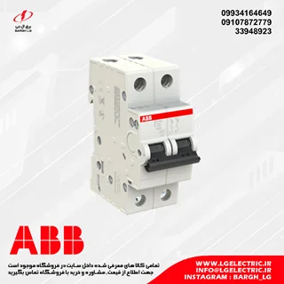 کلید مینیاتوری دو پل ABB مدل SH202